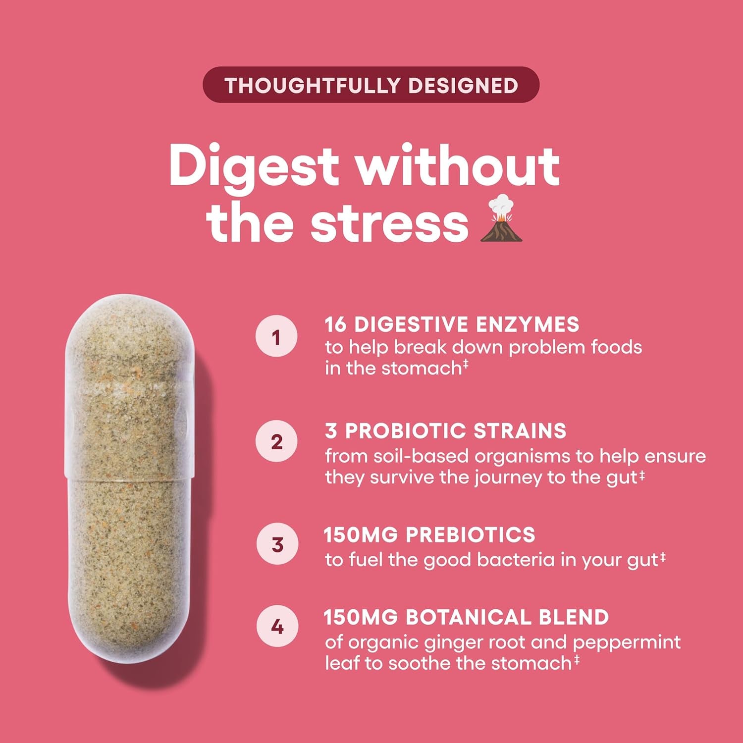 Digestive Enzymes - Multi Enzymes, Bromelain, Organic Prebiotics & Probiotics for Digestive Health & Gut Health - Bloating & Meal Time Discomfort - Dual Action - All Diets - 30 CT 