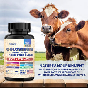 Bovine Colostrum Supplement Capsules, Grass Fed Cow Colostrum with 40% Igg 500MG, Probiotics 50MG, Elderberry 2000MG, L-Glutamine 200MG, Astragalus 2000MG Vitamin C, Ginger, Zinc (60 Capsules)