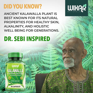 Wixar Kalawalla Capsules – Kalawalla Root & Fern Leaves – Calaguala Extract Herb with Polypodium Leucotomos Pills - Vegetarian Immune, Skin, Alkaline Support Supplements for Men & Women – 90 Capsules