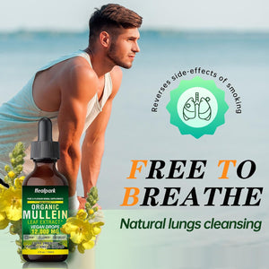 120ML Organic Mullein Drops for Lungs - Mullein Leaf Extract Supplement - Respiratory Health Support - as Liquid, Tincture, Tea 