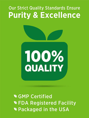 Probiotics with Enzymes | 60 Capsules | Stomach Friendly for Men and Women | Non-Gmo and Gluten Free Digestive Health Supplement