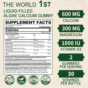 Bundle - Glucosamine Chondroitin MSM + Algae Calcium