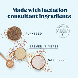 Lactation Cookies Mix - Oatmeal Breastfeeding Cookie Supplement Support for Breast Milk Supply Increase with Flax Seed and Brewers Yeast (Chocolate Chip) 15Oz