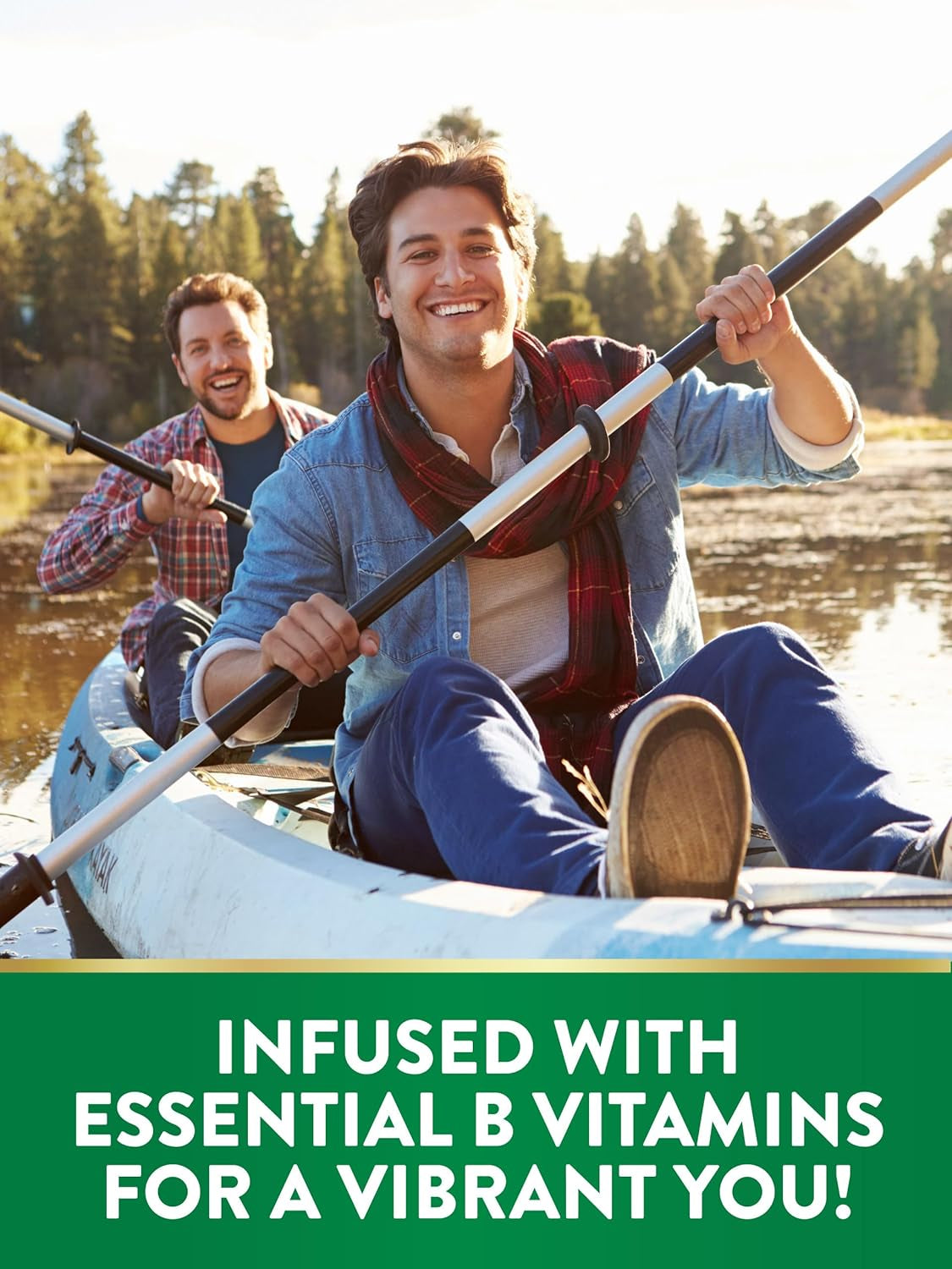 Natures Truth Iron Gummies | 60 Count | Vegan, Non-Gmo & Gluten Free Supplement | with Zinc & B Vitamins | Grape Flavor