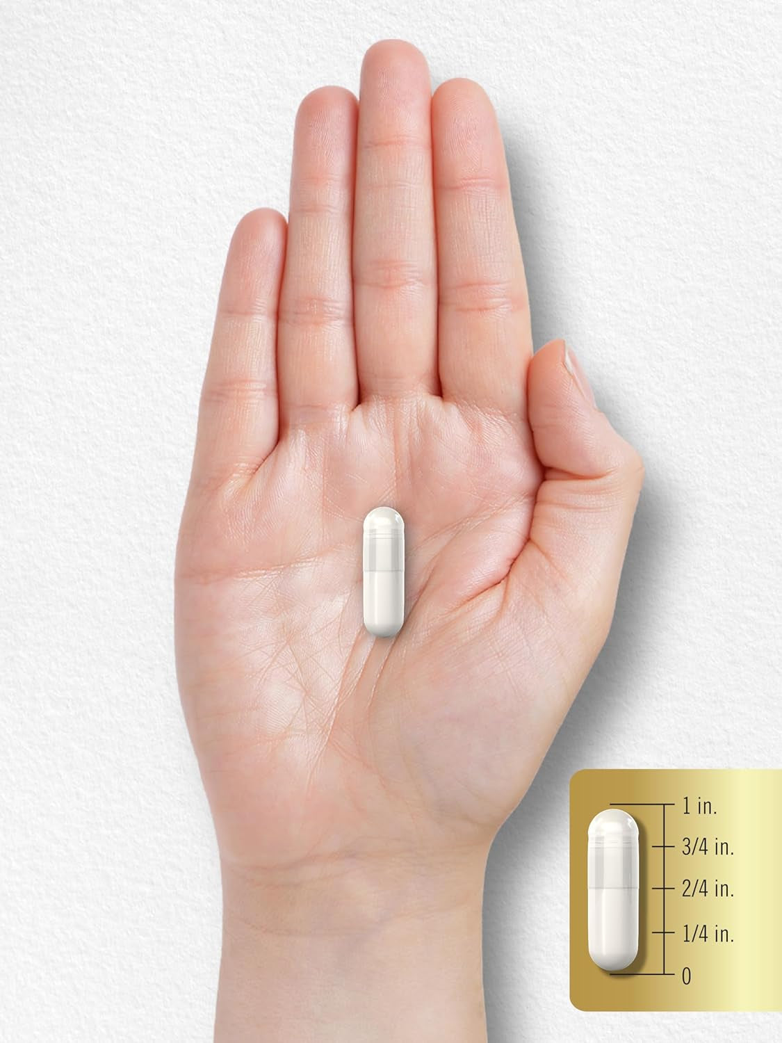 L-Arginine L-Citrulline Complex | 2250Mg | 240 Capsules | Nitric Oxide Precursors | Free Form | Non-Gmo & Gluten Free