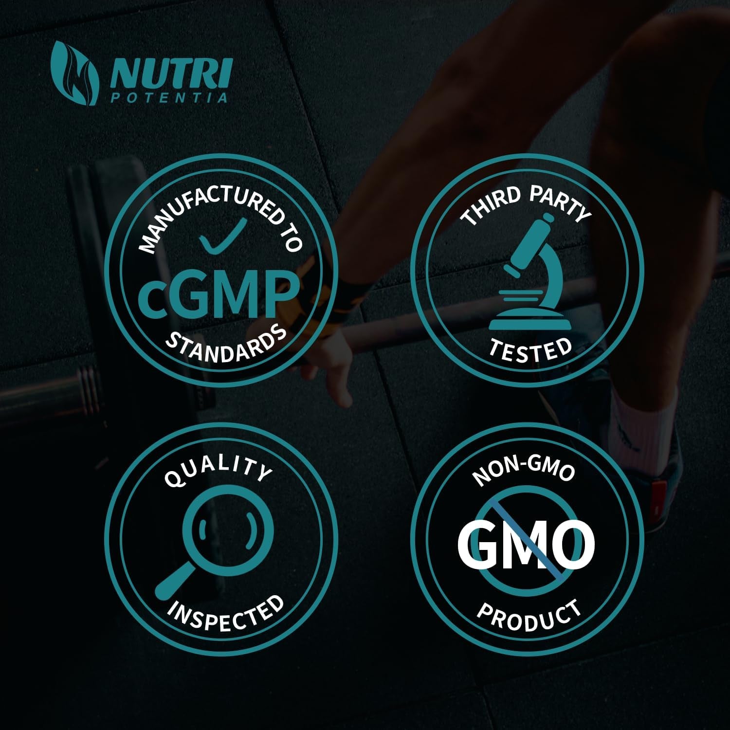 L-Citrulline Malate 2:1 Powder, Pure L Citrulline Malate Supplement Pre Workout Powder, Unflavored, No Additives (500G-1.1Lbs)