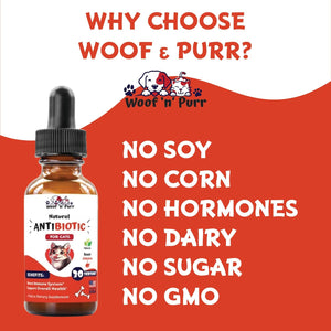 Natural Cat Antibiotic - Antibiotics for Cats - Pet Antibiotics - Cat Antibiotics - Cat Allergy Relief for Cats - Antibiotic for Cats - Cat UTI Antibiotics - 1 Fl Oz: Roast Chicken Flavor