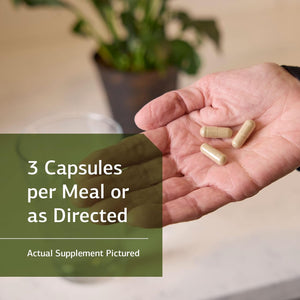 Standard Process Allerplex - Lung Health Support Supplement - Dietary Supplement with Vitamin a & Pneumotrophin PMG - Support Healthy Mucous Membranes - Supports Seasonal Challenges - 150 Capsules