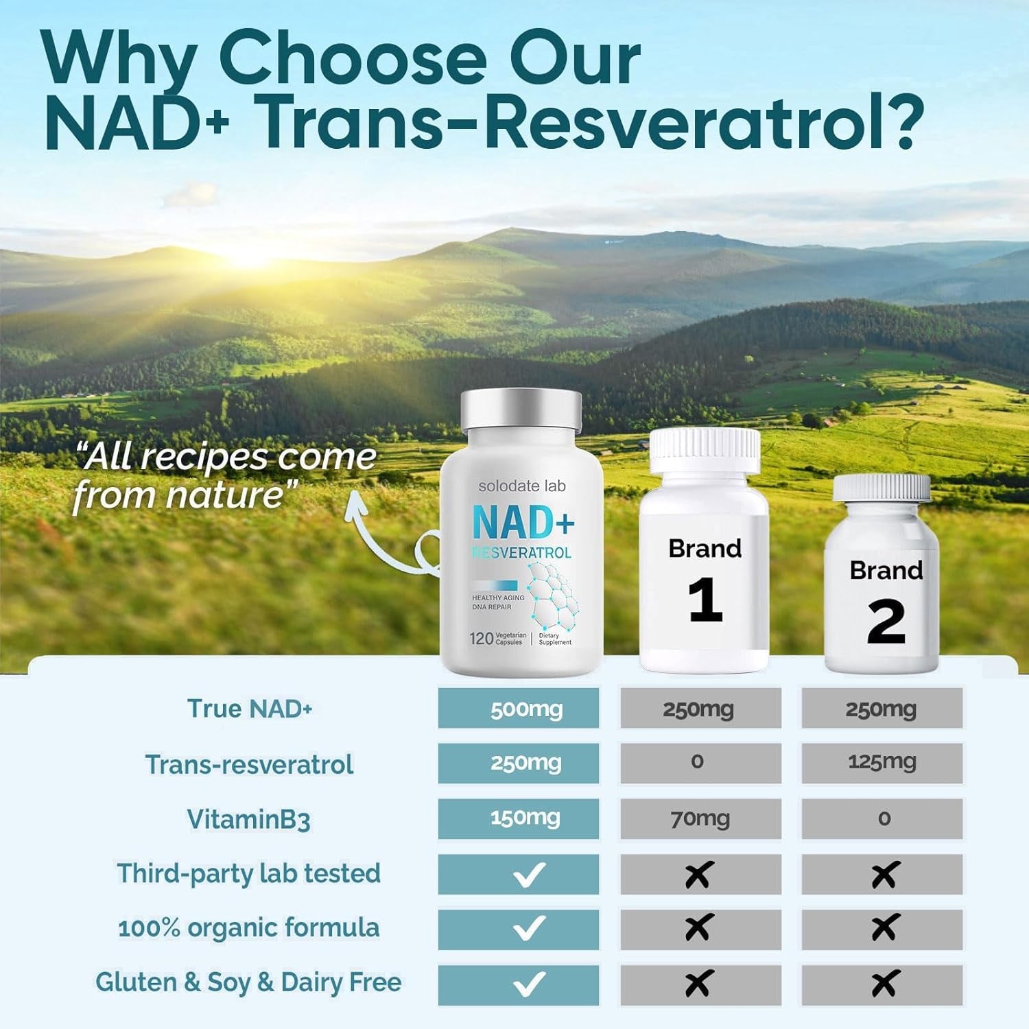 NAD Supplement 1000Mg, True NAD+ 500Mg & Resveratrol 250 Mg, Support Cellular Energy & Healthy Aging