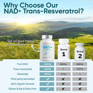 NAD Supplement 1000Mg, True NAD+ 500Mg & Resveratrol 250 Mg, Support Cellular Energy & Healthy Aging