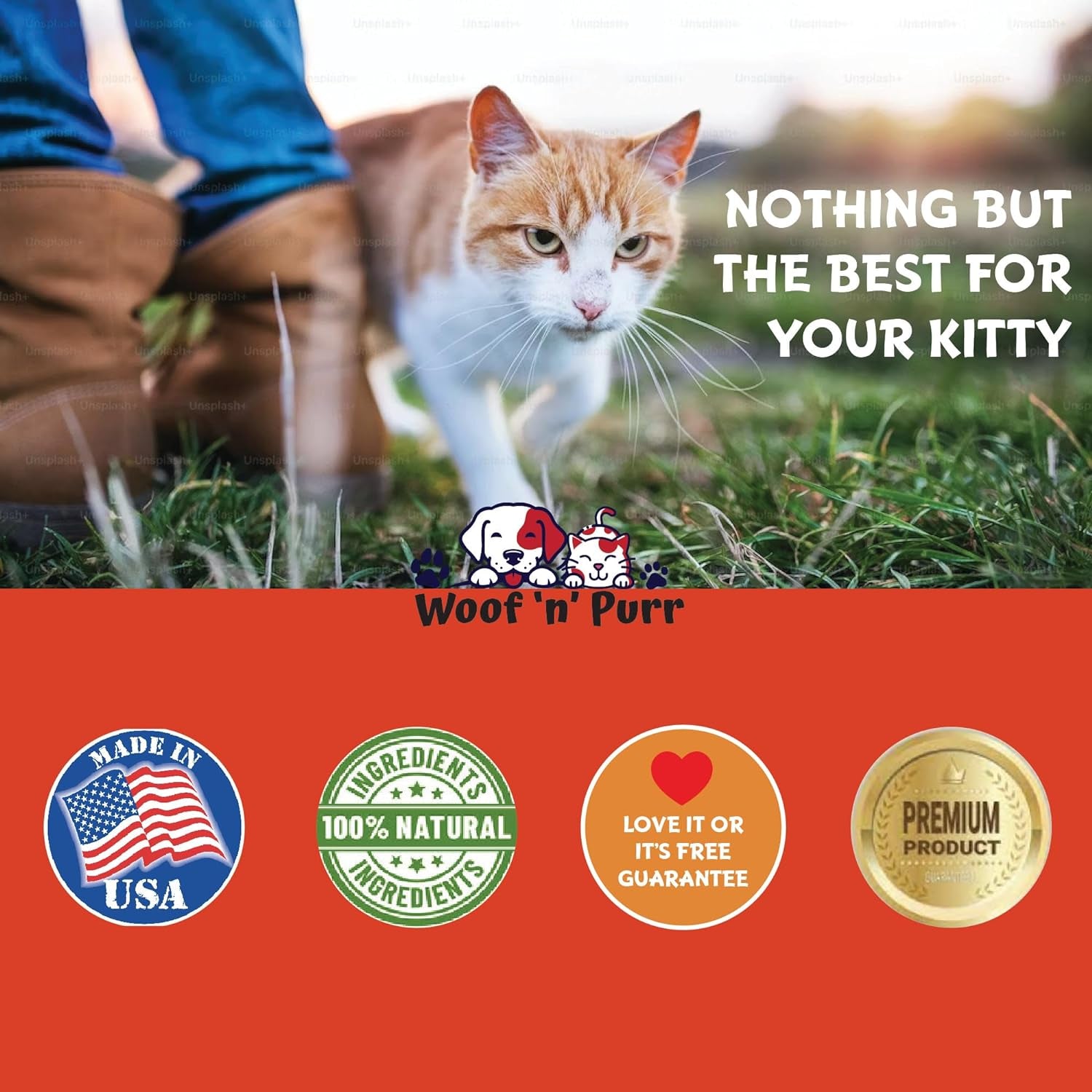 Natural Cat Antibiotic - Antibiotics for Cats - Pet Antibiotics - Cat Antibiotics - Cat Allergy Relief for Cats - Antibiotic for Cats - Cat UTI Antibiotics - 1 Fl Oz: Roast Chicken Flavor