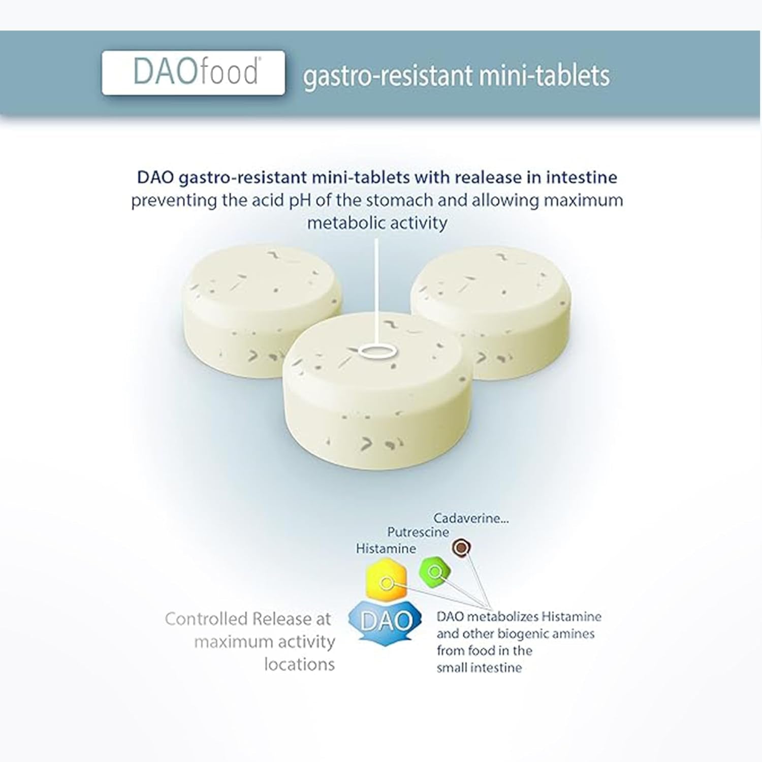 DR Healthcare Daofood - Dietary Management of DAO Deficiency - Dispenser 60 Mini Gastro-Resistant Tablets - DAO Enzyme