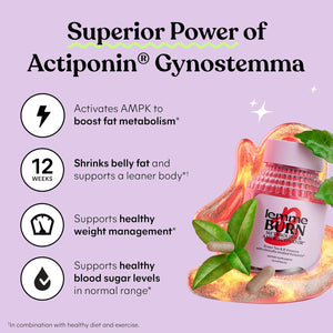 Lemme Burn - Metabolism, Belly Fat Burning + AMPK Activating Supplement for Men & Women W/Clinically Studied Actiponin Gynostemma, Green Tea Extract, Vitamins B6 & B12 - Vegan, Gluten Free, 180 Count 