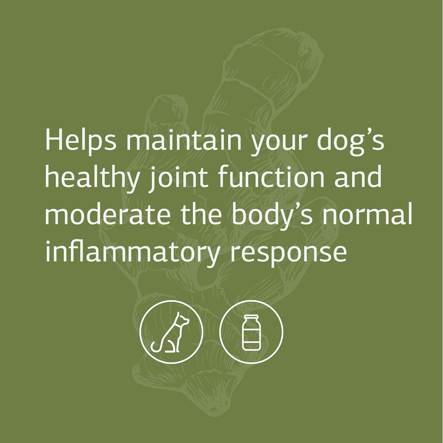 {Product Name} – {Primary Function} – USA-imported supplement delivered in Australia delivery through Australia Post