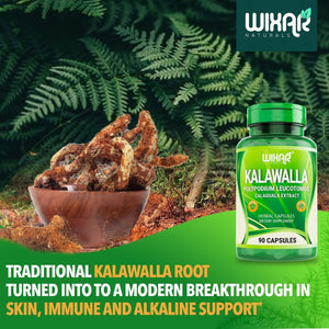 Wixar Kalawalla Capsules – Kalawalla Root & Fern Leaves – Calaguala Extract Herb with Polypodium Leucotomos Pills - Vegetarian Immune, Skin, Alkaline Support Supplements for Men & Women – 90 Capsules