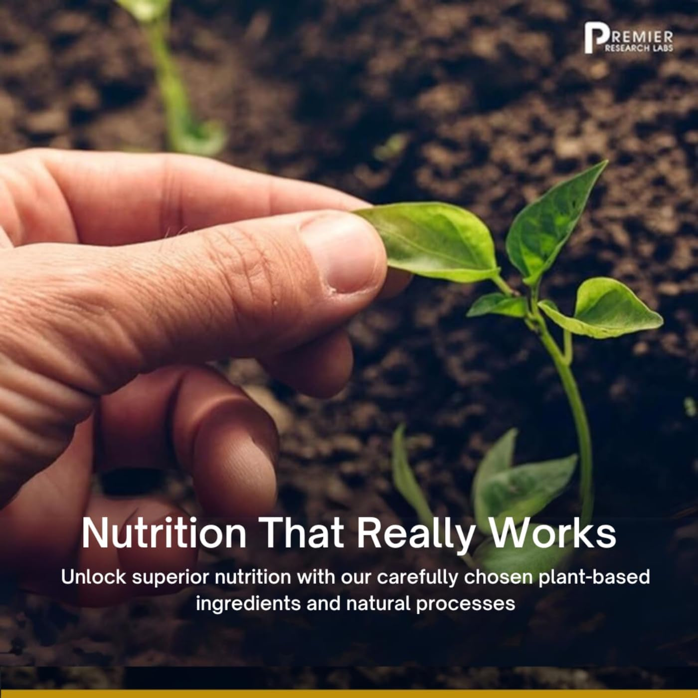 Premier Research Labs Pancreven: Herbal Complex for Pancreas Support, Digestive Health & Blood Balance - All Natural Supplement with Blueberry, Cranberry & Cinnamon - 60 Plant Capsules