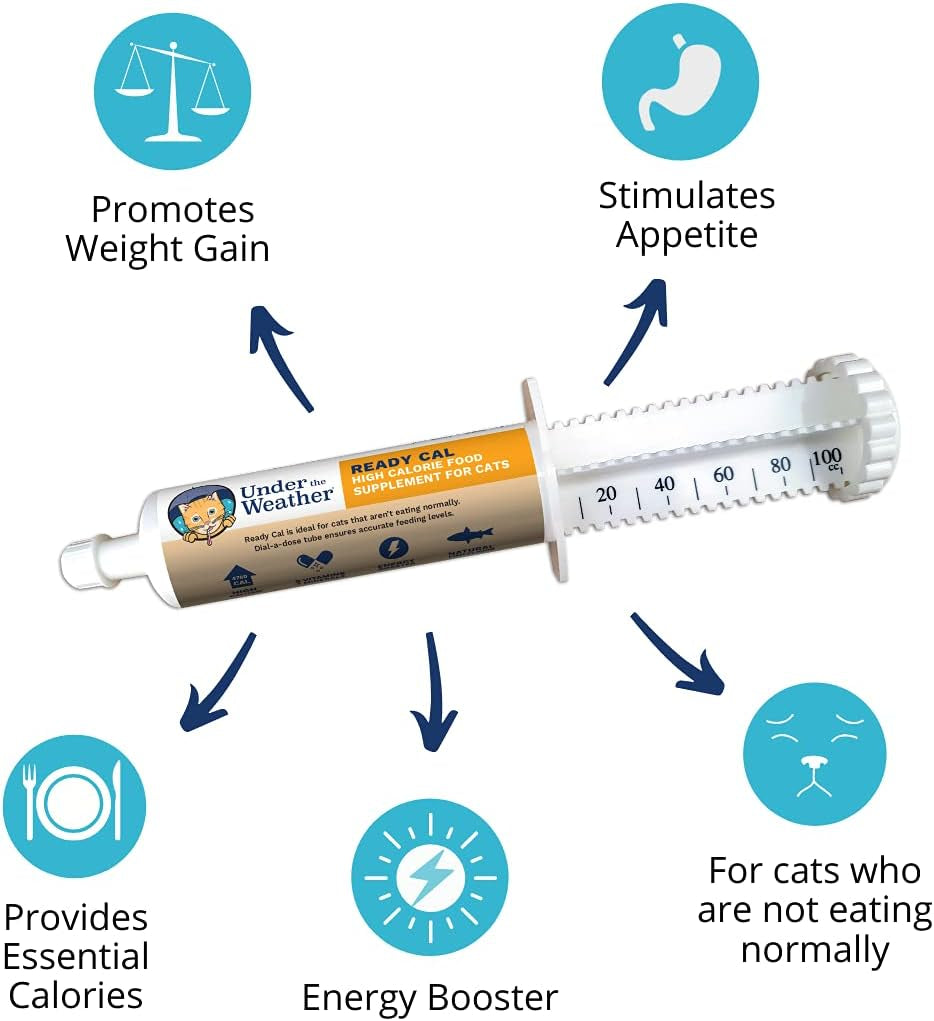 {Product Name} – {Primary Function} – USA-imported supplement delivered in Australia delivery through Australia Post