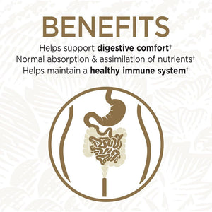 Garden of Life Whole Food Probiotic Supplement - Primal Defense Ultra Ultimate Probiotic Dietary Supplement for Digestive and Gut Health, 60 Vegetarian Capsules 