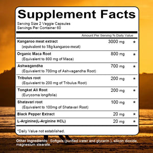 L-Arginin Nitric Oxide, Testosteron Booster, 60 Capsules X 2 Bottle 