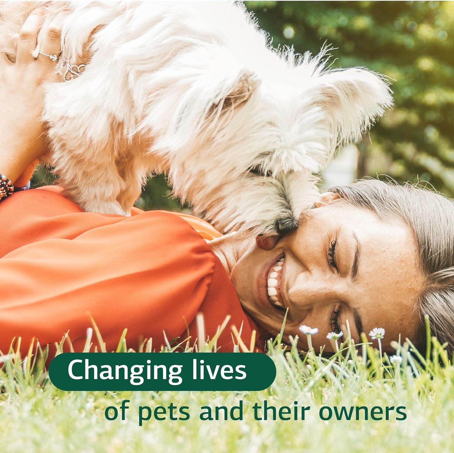 Standard Process Canine Dermal Support - Skin & Adrenal Gland Support Supplement - Comprehensive Skin Health Support Supplement for Dogs - Daily Immune & Liver Support Powder - 125 G