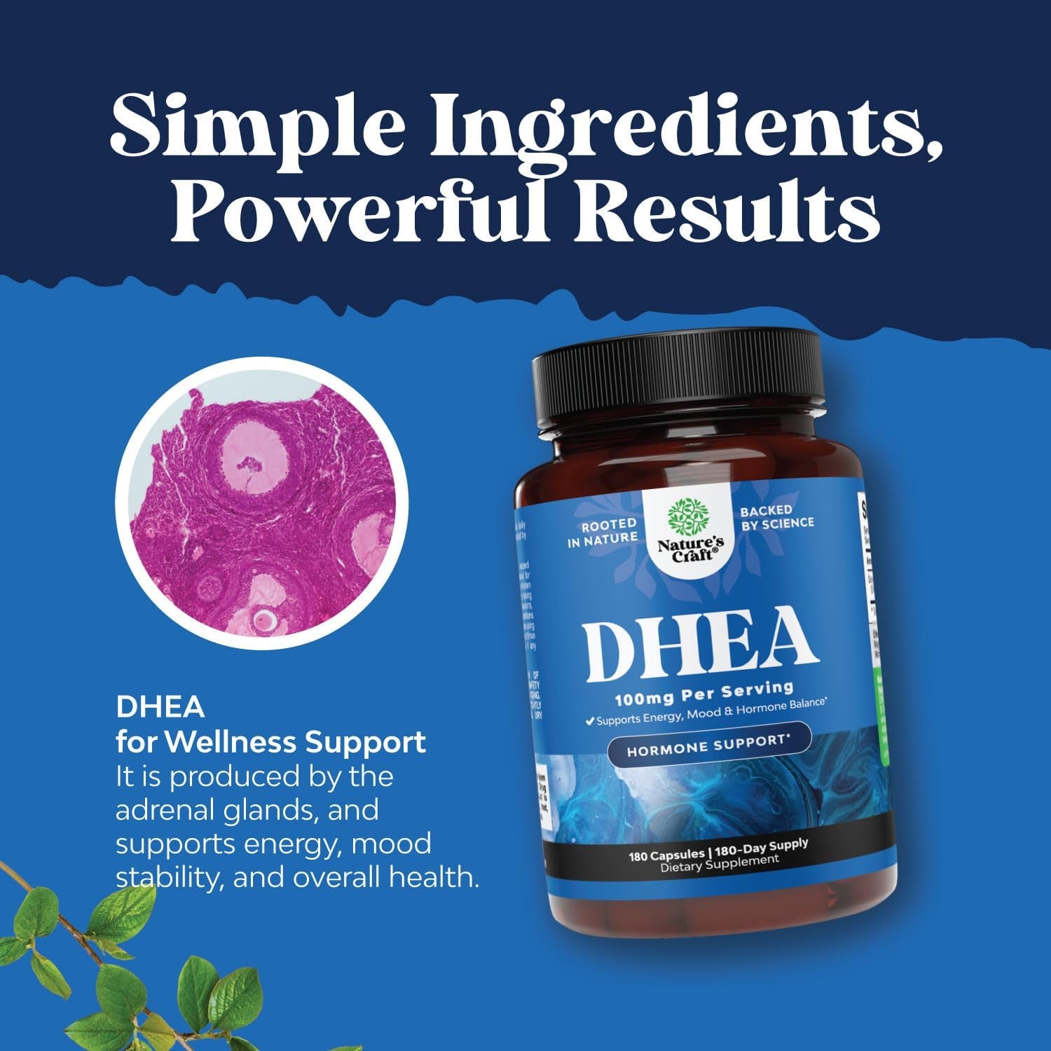 DHEA 100Mg for Men and Women - Vegan High Strength DHEA Supplement for Women & Men for Enhanced Energy and Hormone Balance for Women & Men - Men and Womens Hormone Balance Supplement (6 Month Supply)
