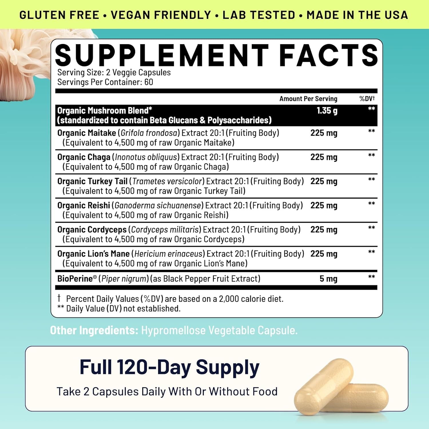 Smart Mushrooms Brain Supplement | Nootropic for Memory, Focus & Cognitive Health | Energy & Immune Support Blend with Lions Mane, Reishi, Cordyceps, Chaga & Turkey Tail | 240 Vegan Capsules