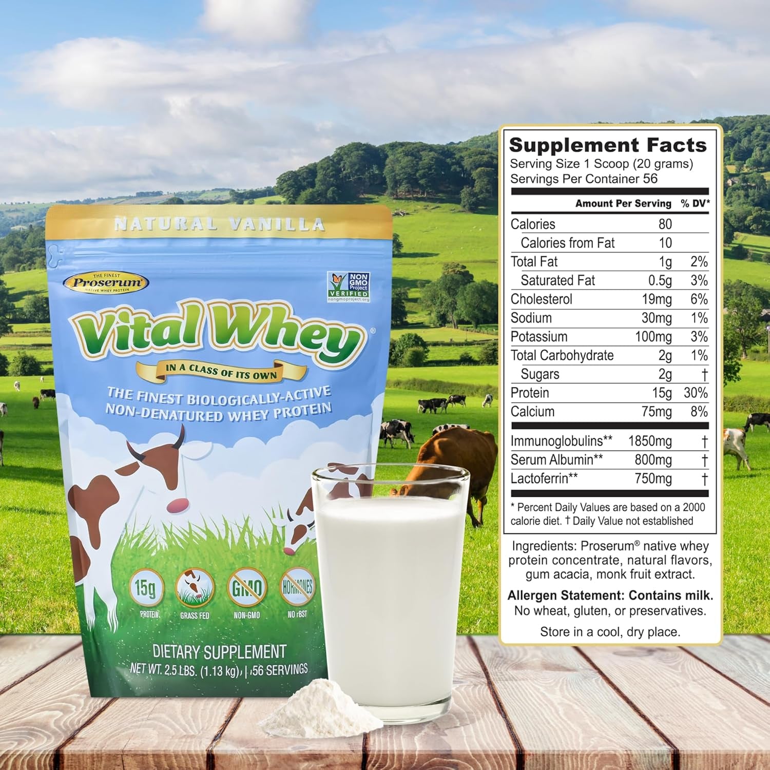 Vital Whey - Natural-15G Protein per Serve - Clean Holistic Grass-Fed Whey Powder for Immune Vitality - Wellness Nutrition - 600G