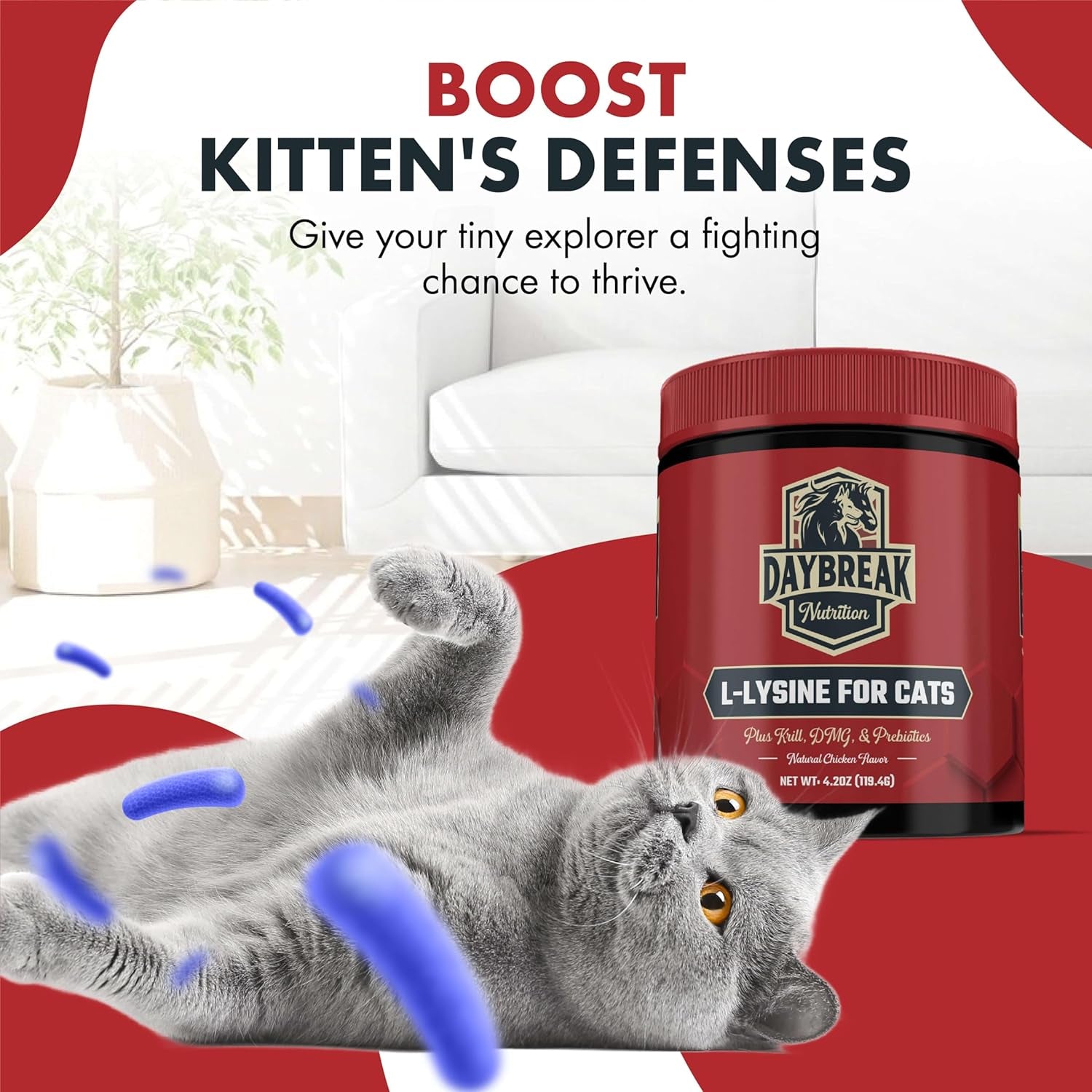 L-Lysine for Cats and Kittens - 900 Mg L Lysine Powder for Cats for Immunity & Respiratory Support - Cat Supplement with L-Lysine, Prebiotics, Krill, & DMG for Immune System, Eye Health & Sneezing