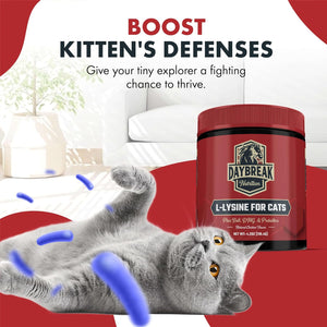 L-Lysine for Cats and Kittens - 900 Mg L Lysine Powder for Cats for Immunity & Respiratory Support - Cat Supplement with L-Lysine, Prebiotics, Krill, & DMG for Immune System, Eye Health & Sneezing