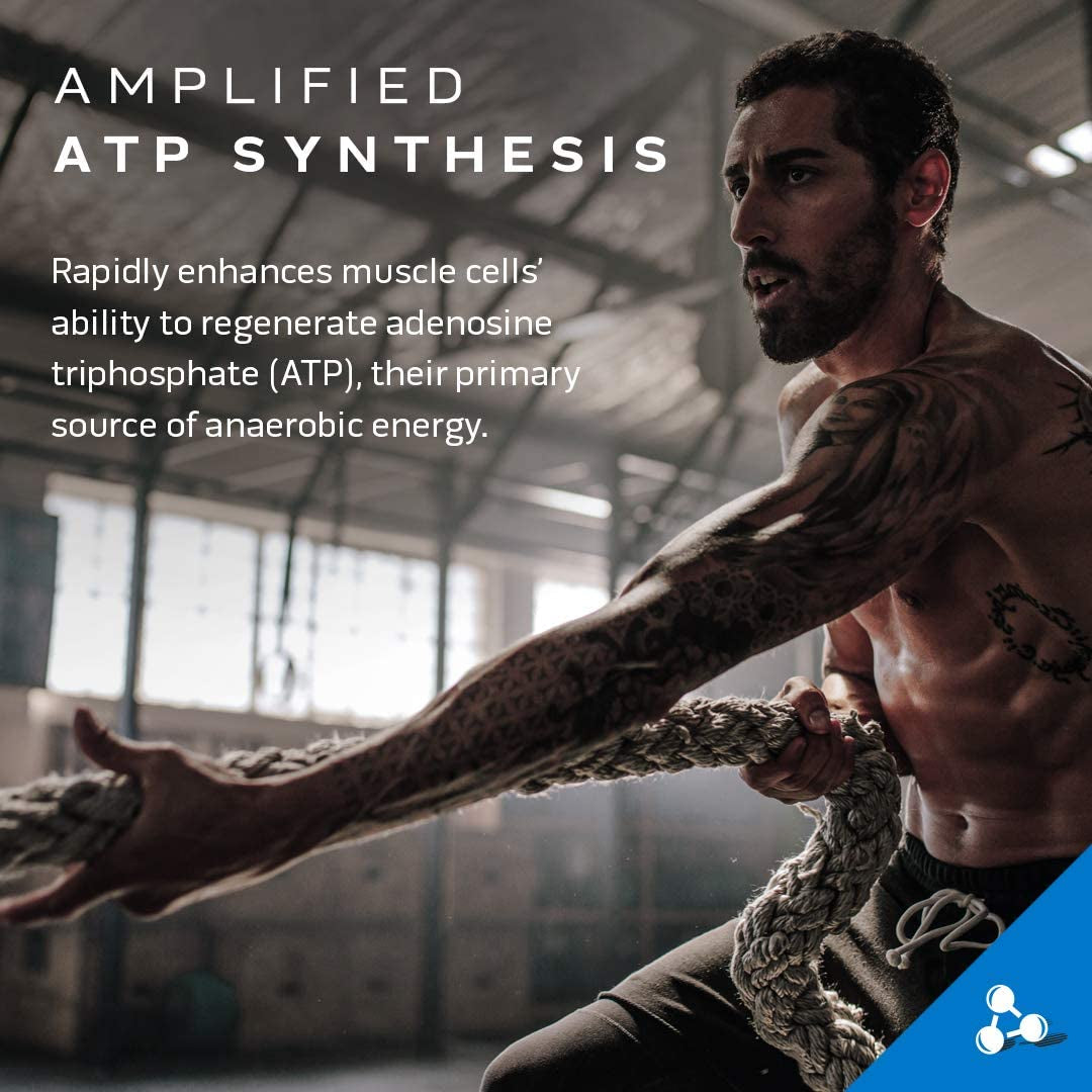 Muscletech Whey Protein Powder Nitro-Tech | Isolate & Peptides & Cell-Tech Creactor Creatine Hcl Powder | Post Workout Muscle Builder