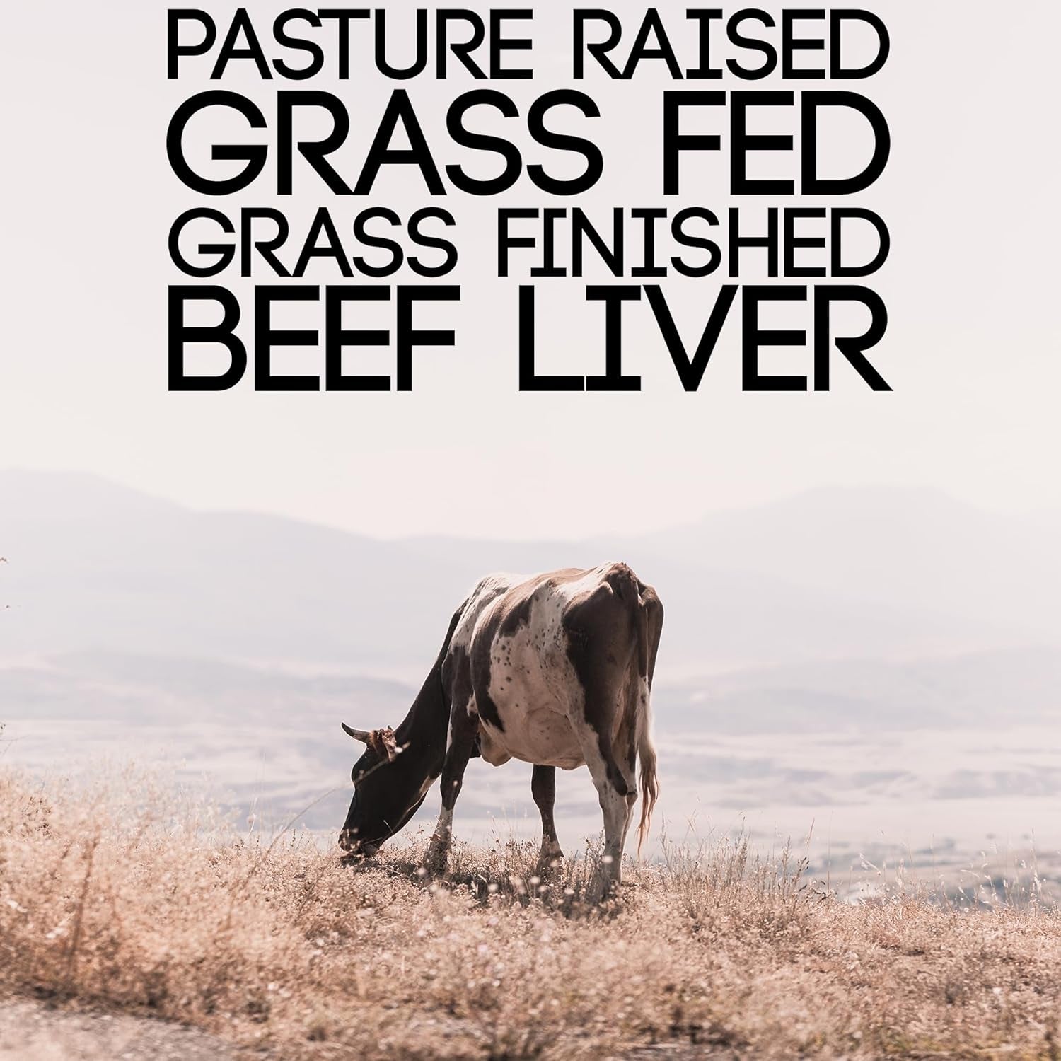 Basic Nutrition Pasture Raised Grass Fed Grass Finished Beef Liver Capsules | 3000Mg Serving | 100% Hormone Free Desiccated, Undefatted Beef Liver with No Fillers, Non-Gmo, Pesticide Free, Gluten-Free