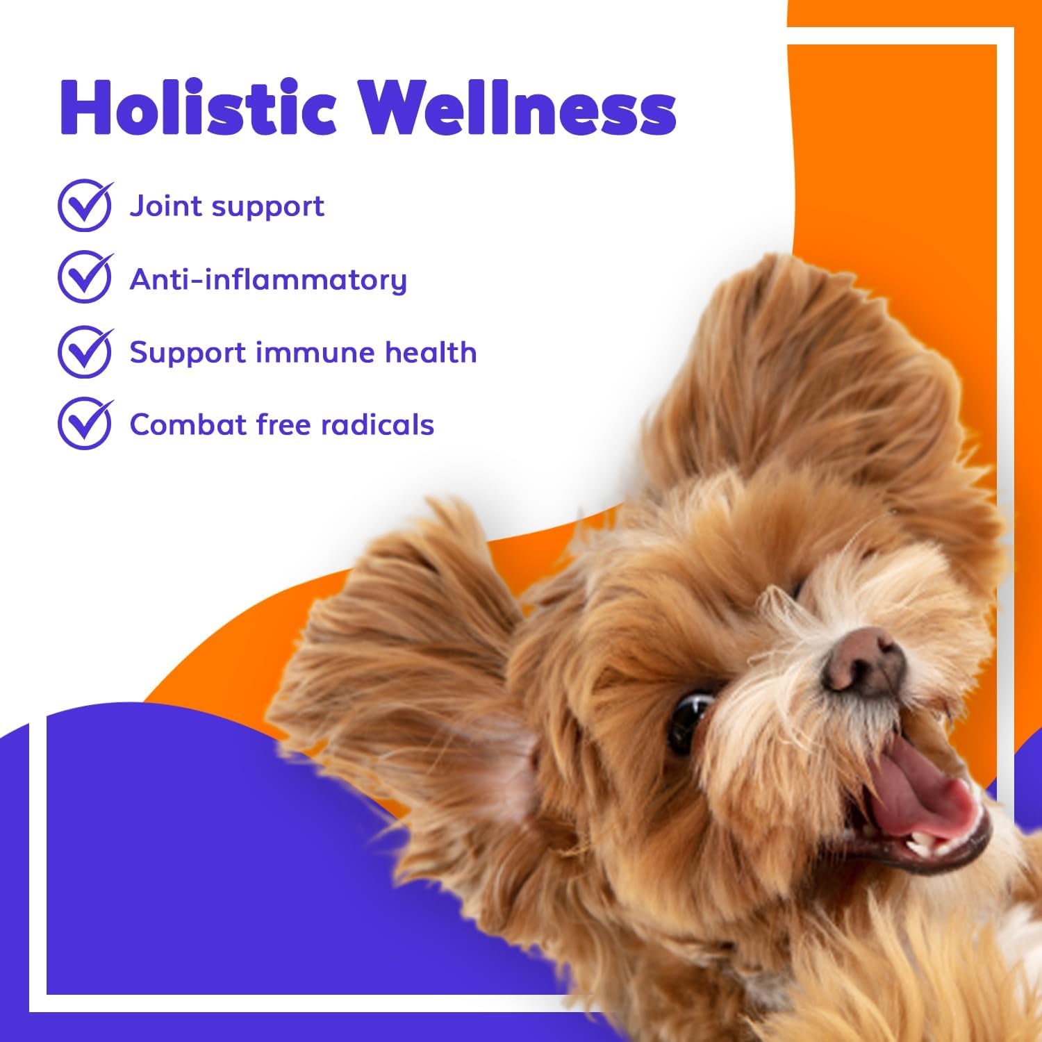 Jack & Milo Organic Cranberry Supplement for Dogs, Dog UTI Incontinence, Kidney and Bladder Control - Cranberry & Antioxidants - Bladder Control for Dogs, USA Made-Non GMO - 120 Tablets 