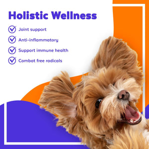 Jack & Milo Organic Cranberry Supplement for Dogs, Dog UTI Incontinence, Kidney and Bladder Control - Cranberry & Antioxidants - Bladder Control for Dogs, USA Made-Non GMO - 120 Tablets 