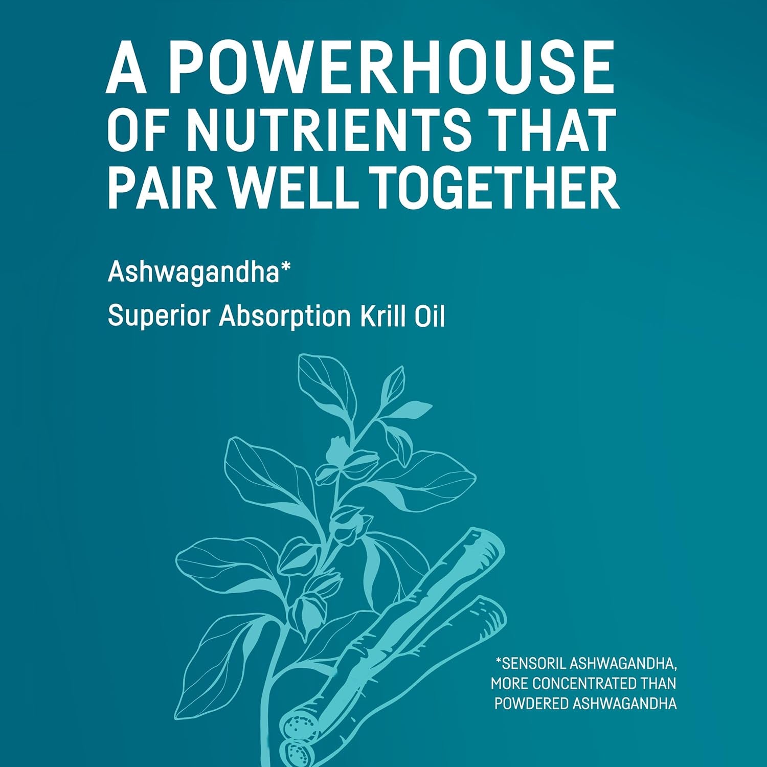 Kori Stress & Body Adaptogen Supplement - Krill Oil & Ashwagandha/Omega-3 Fatty Acids for Heart, Brain, Eye, & Joint Health/Occasional Stress, Mood, & Sleep Support / 80 Softgels
