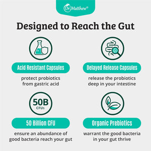 Prebiotics and Probiotics: Lactobacillus Gasseri, Lactobacillus Rhamnosus, Plantarum, Casei, Bifidobacterium Longum, Lactis, Infantis. Probiotic Prebiotic, Pre and Probiotics for Digestive Health.