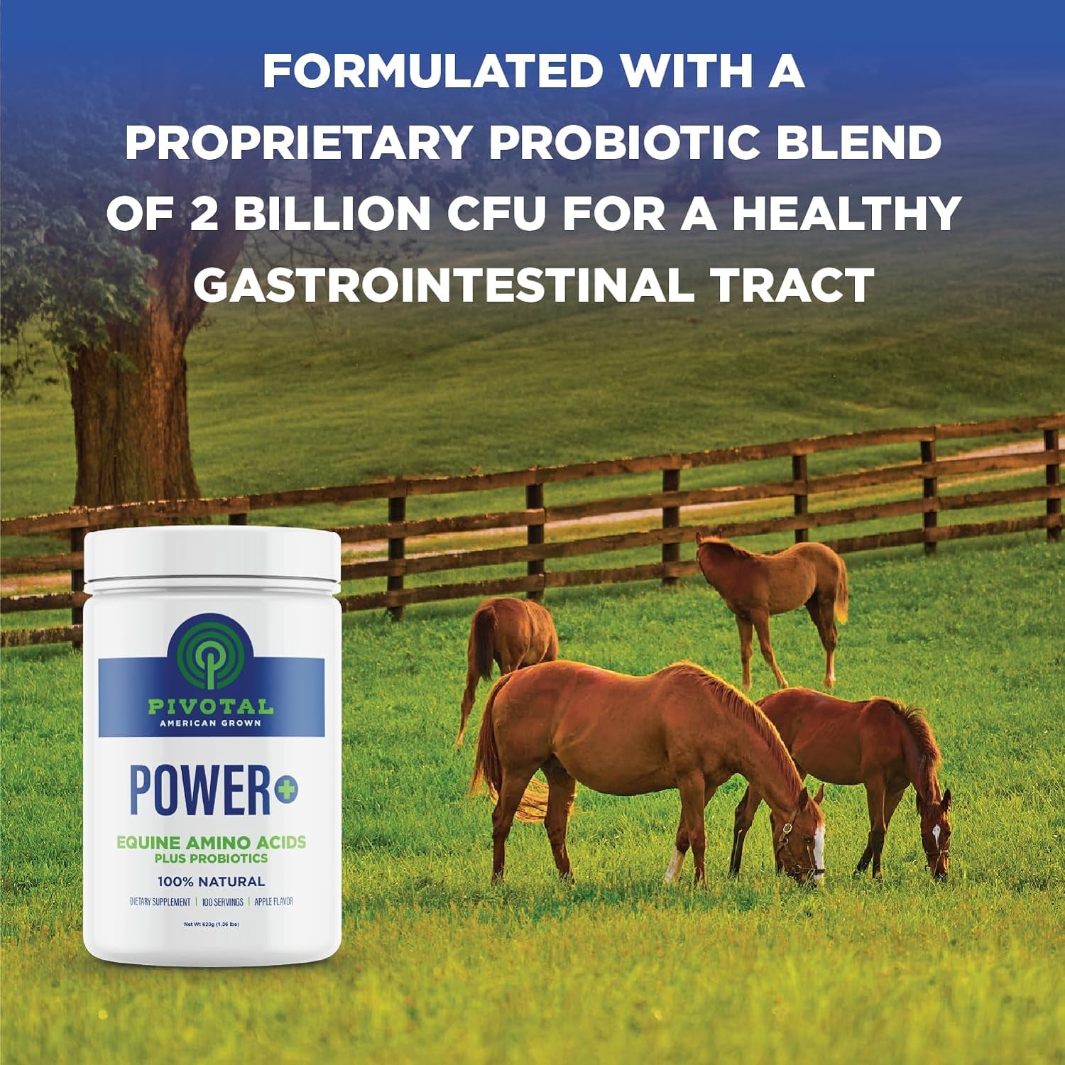 Power+ Horse Supplement (620G/1.36Lbs - 100 Servings) - 9 Equine Amino Acids plus Probiotics for Horses - No Added Sugar, No Soy, No Fillers - Horse Joint Support Supplement