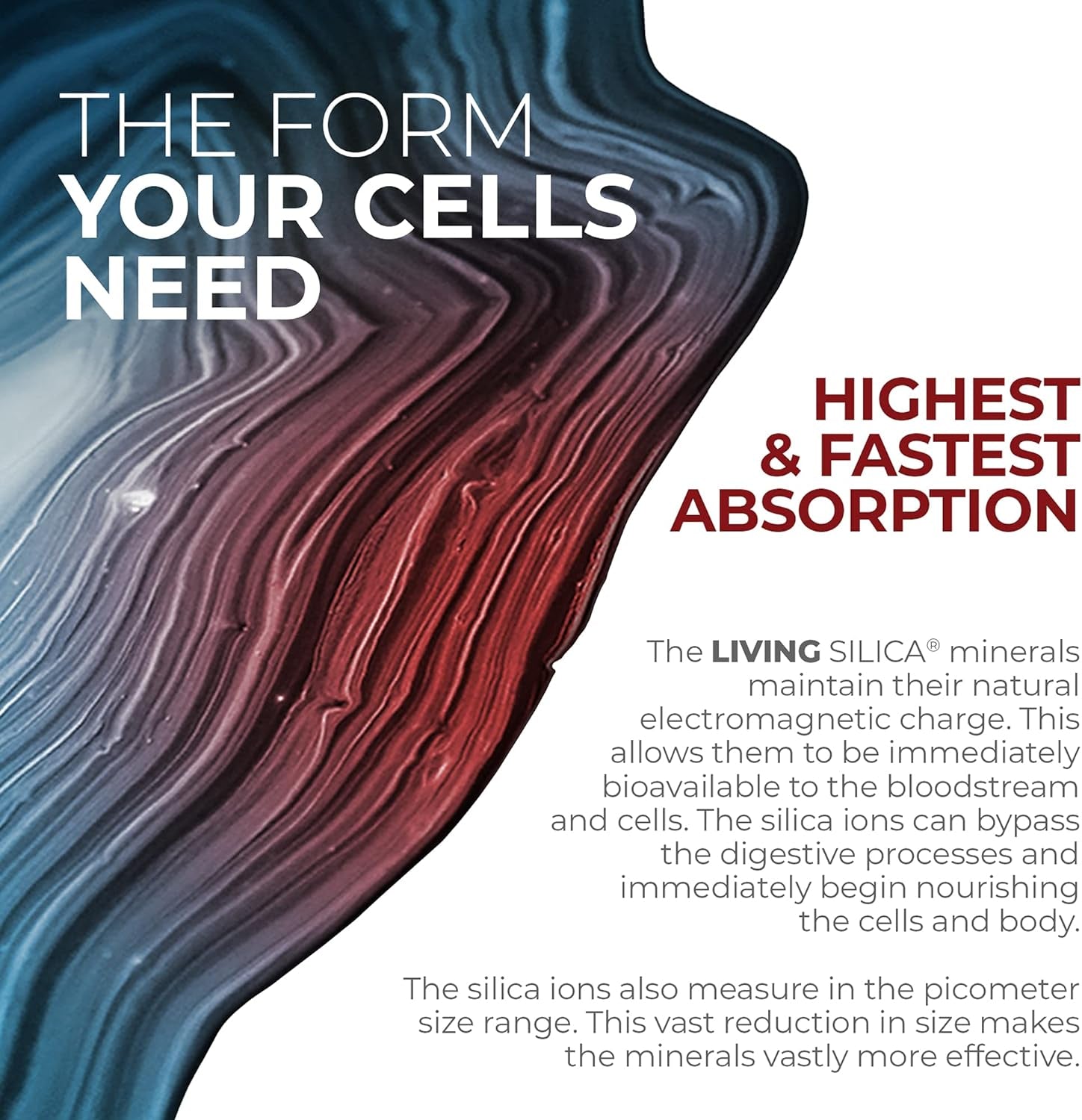 Living Silica Sports Recovery | Vegan Joint Recovery | Pre & Post Workout Recovery Supplement | Supports Tendon, Ligament and Cartilage Health, Energy and Endurance. 33.8 Fl Oz