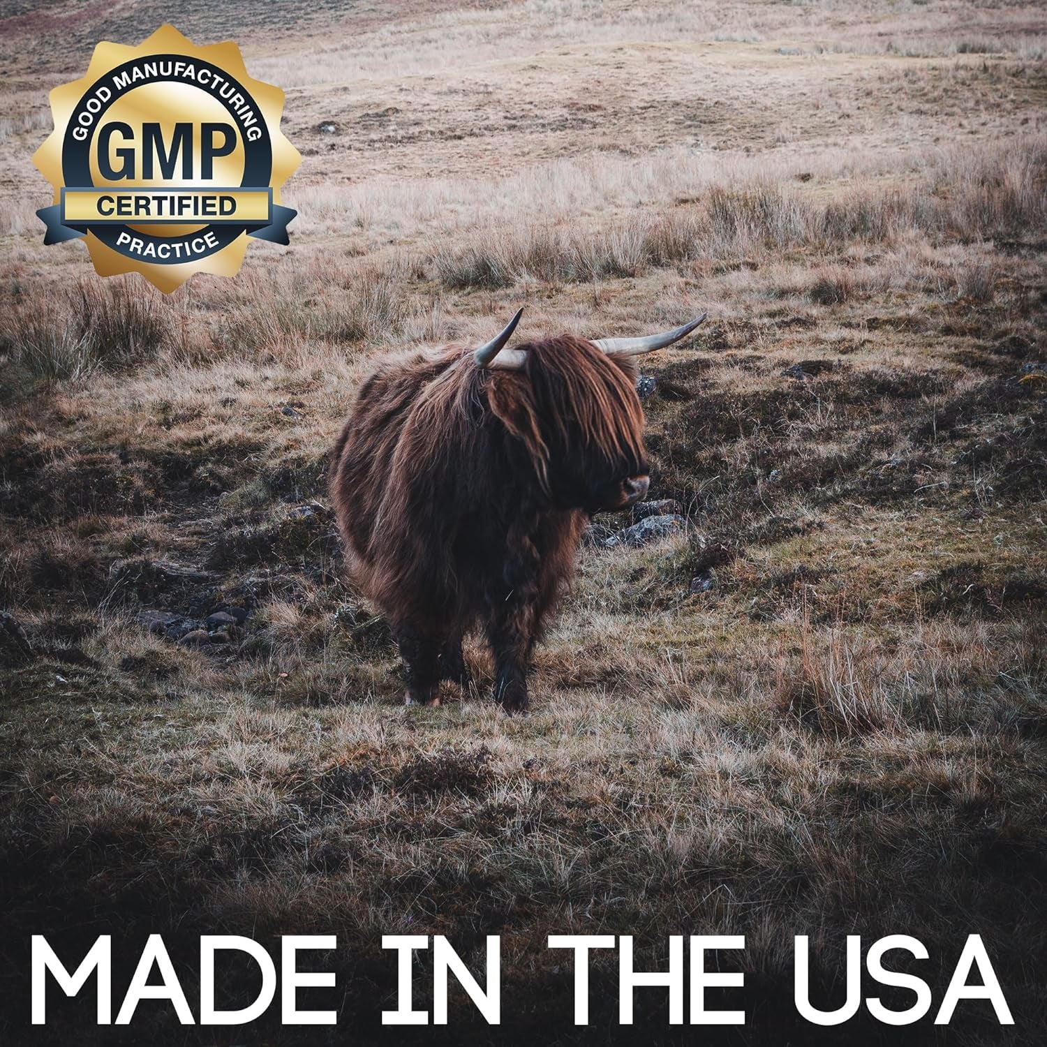 Basic Nutrition Pasture Raised Grass Fed Grass Finished Beef Liver Capsules | 3000Mg Serving | 100% Hormone Free Desiccated, Undefatted Beef Liver with No Fillers, Non-Gmo, Pesticide Free, Gluten-Free 