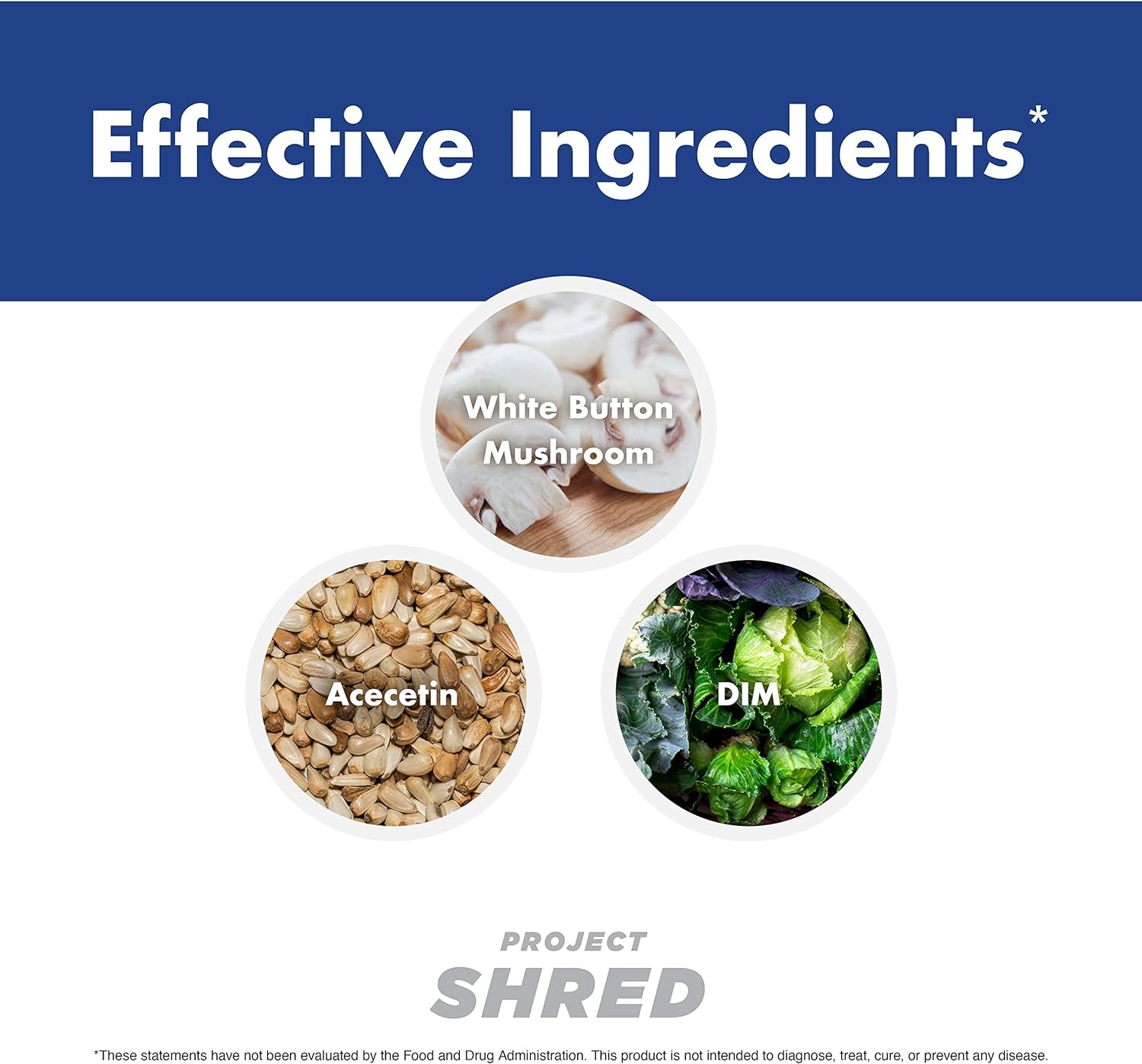 Anabolic Warfare Project Shred, Manage Normal Healthy Cortisol Levels & Water Retention, Body Recomposition Formula, Made with Botanicals*