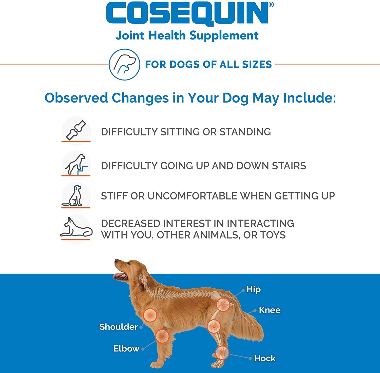Nutramax Cosequin DS Joint Health Supplement for Dogs - with Glucosamine and Chondroitin, 250 Chewable Tablets