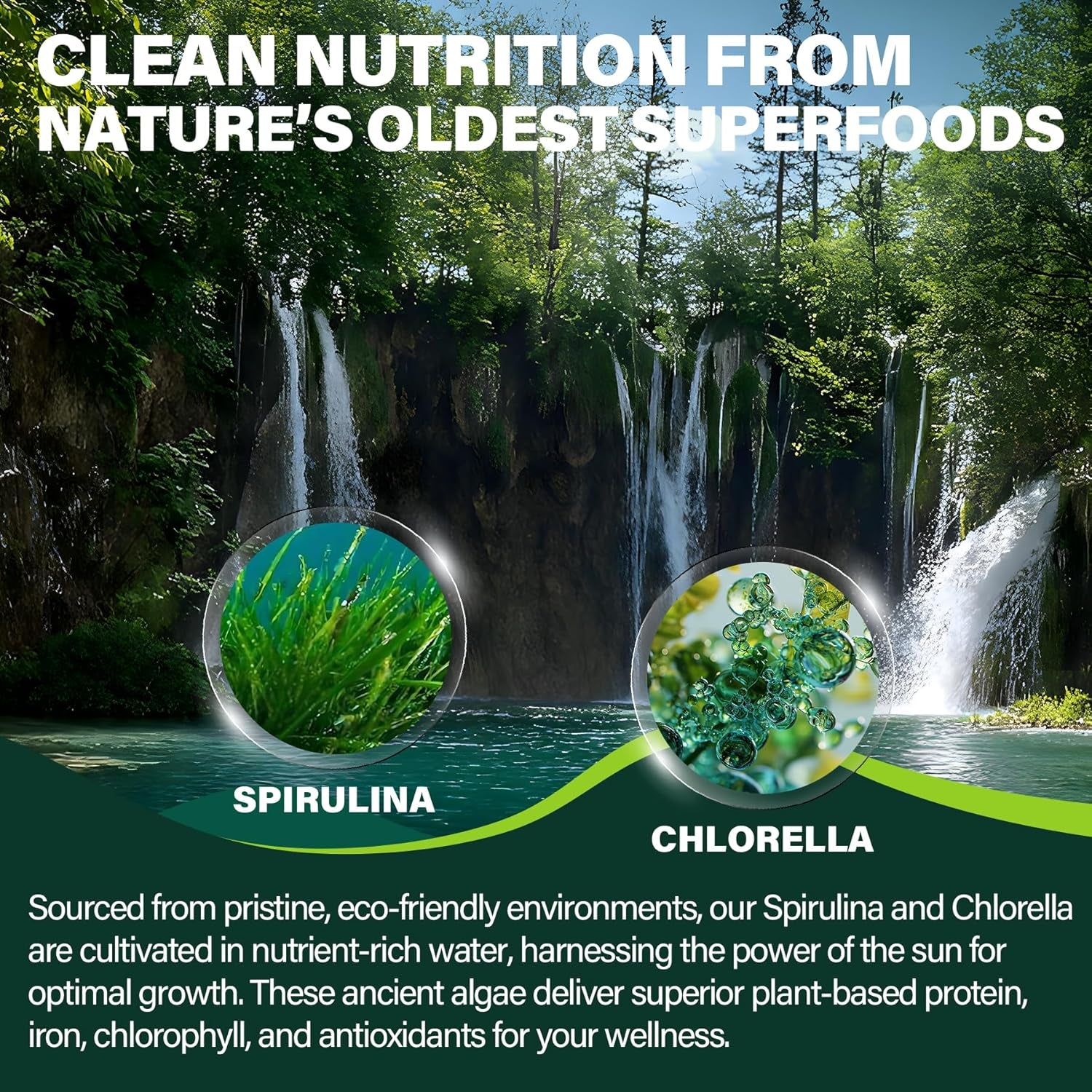 NEVISS Melatonin 60Mg, Organic Spirulina & Chlorella Gummies, 2 Pack