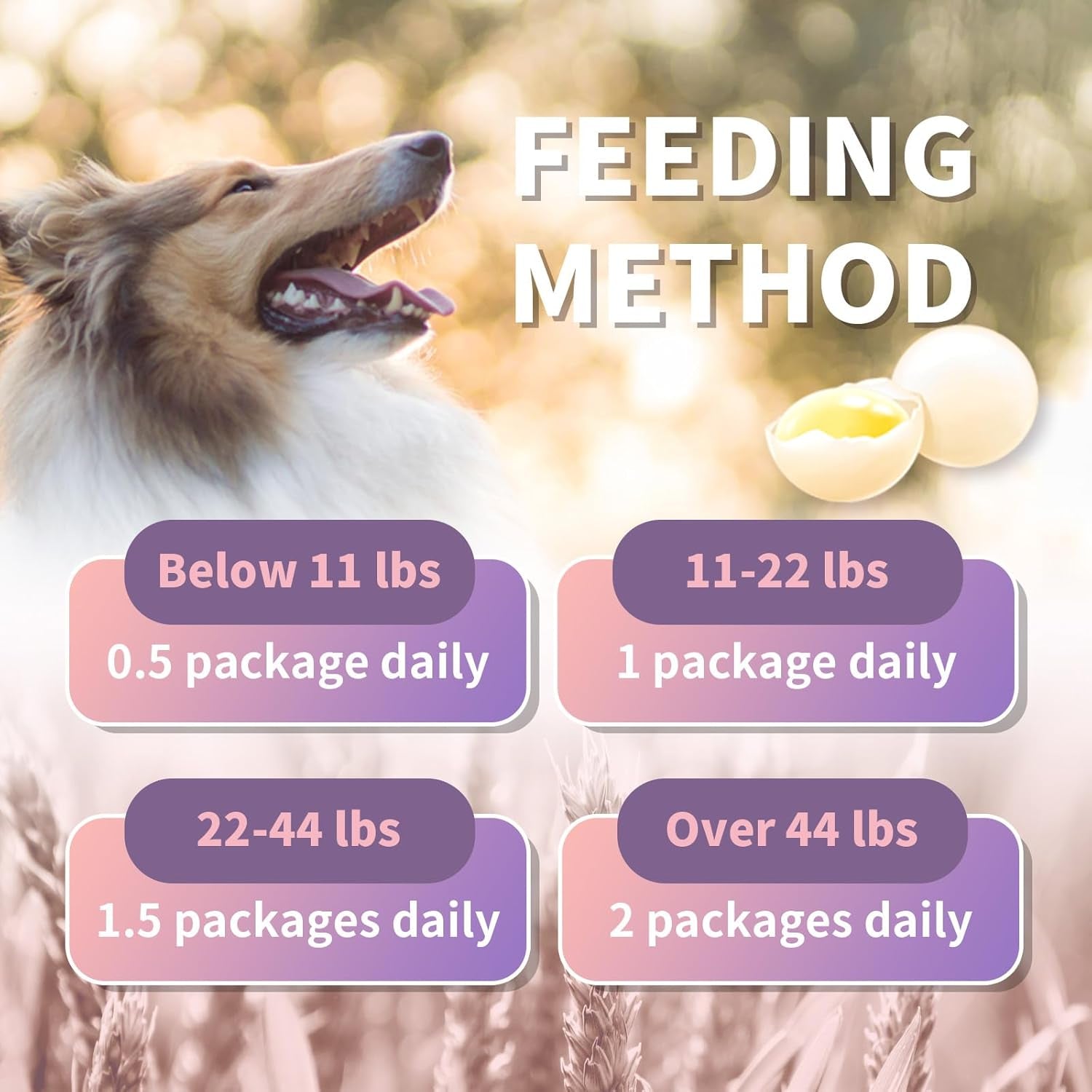 LCF Dog and Cat Skin and Coat Health Supplement - Soft Fur/Essential Nutrients/Natural Protein Source/Terrapin Egg Powder & Astaxanthin, B-Complex Vitamin - 40 Packs