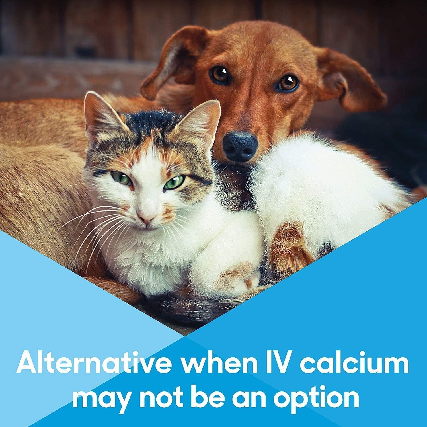 Calcium Now - Oral Calcium for Whelping Dogs - Dog & Cat Calcium Supplement Paste - Lots of Love (30 Ml) (30 Ml)