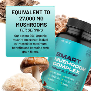Smart Mushrooms Brain Supplement | Nootropic for Memory, Focus & Cognitive Health | Energy & Immune Support Blend with Lions Mane, Reishi, Cordyceps, Chaga & Turkey Tail | 240 Vegan Capsules