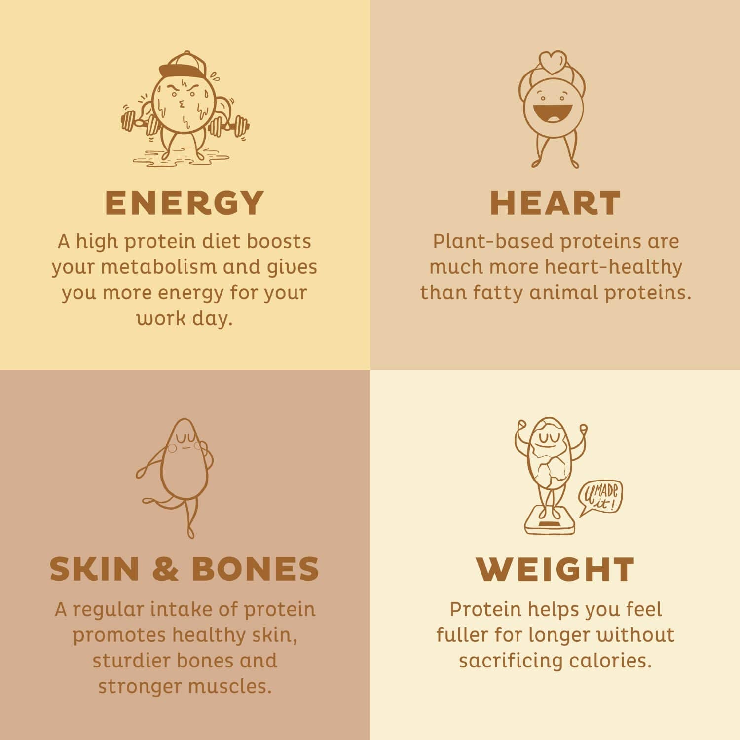 KOS Vegan Protein Powder Erythritol Free, Chocolate - Organic Pea Protein Blend, Plant Based Superfood Rich in Vitamins & Minerals - Keto, Dairy Free - Meal Replacement for Women & Men, 28 Servings