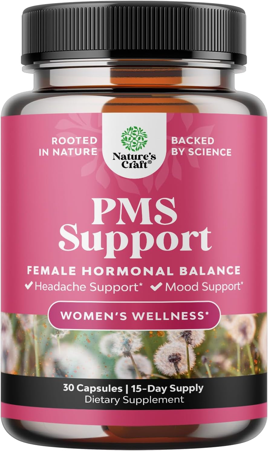 Advanced PMS Support Supplement for Women - Multibenefit PMS Relief Complex for Low Energy Mood Support Period Cramps and Bloating Relief for Women 
