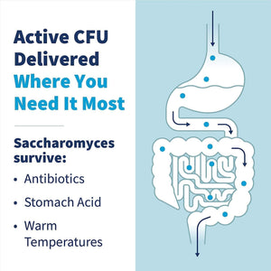 Klaire Labs Saccharomyces Boulardii Probiotic - Acid Resistant & Shelf-Stable Probiotic Supplement to Help Support Healthy Yeast Balance, Immune & Digestive Health - Hypoallergenic, Dairy-Free (120Ct)