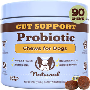 Natural Dog Company Skin & Coat Chews, Salmon & Peas Flavor, Dog Vitamins and Supplements for Healthy Skin & Coat, Itch Relief for Dogs with Allergies, with Biotin, Vitamin E, Omega 3, Antioxidant