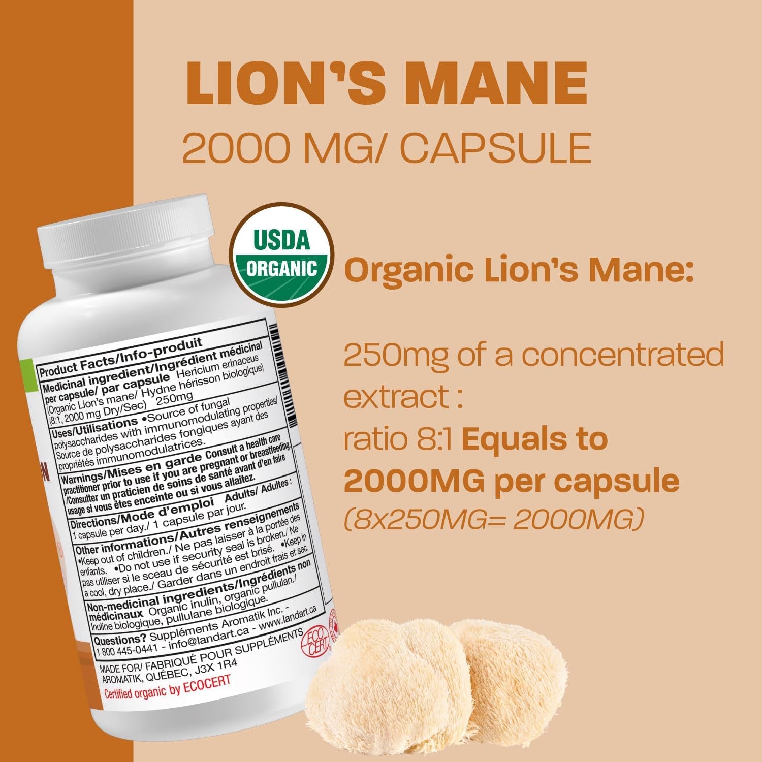 Certified Organic Lion'S Mane - Cognition & Memory - 120 Capsules - 2000Mg- Fruiting Body - Multiple Extraction - over 25% Beta-Glucans