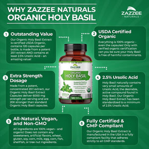Zazzee USDA Organic Holy Basil 20:1 Extract, 6000 Mg Strength, 2.5% Ursolic Acid, 120 Vegan Capsules, 4 Month Supply, Concentrated and Standardized 20X Tulsi Extract, 100% Certified Organic, Non-Gmo 